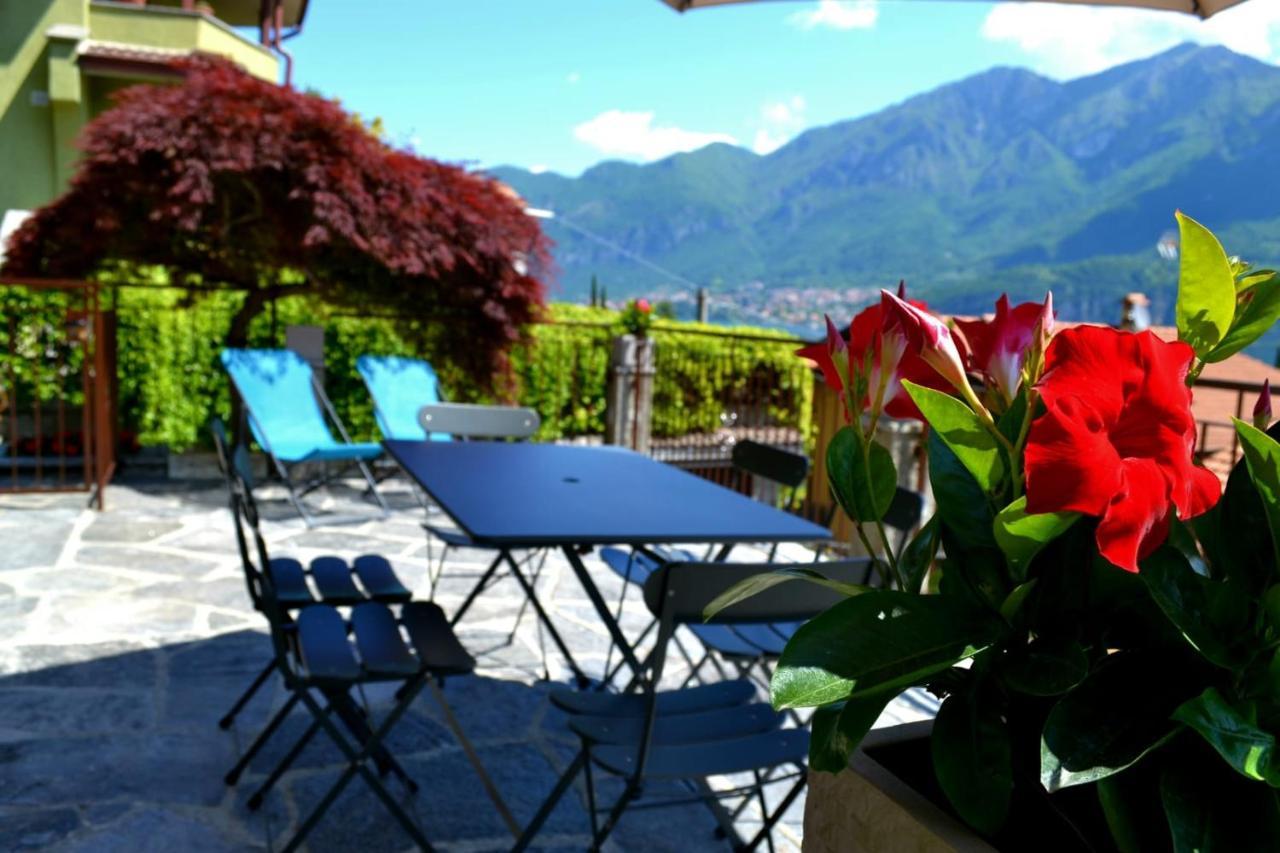 Le Grigne Guesthouse - The Garden Oliveto Lario Eksteriør bilde