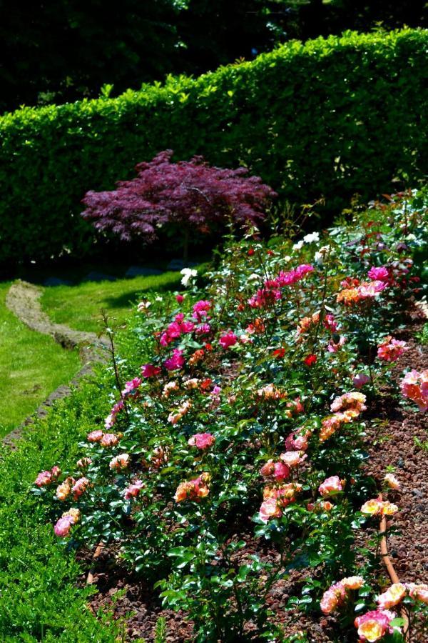 Le Grigne Guesthouse - The Garden Oliveto Lario Eksteriør bilde