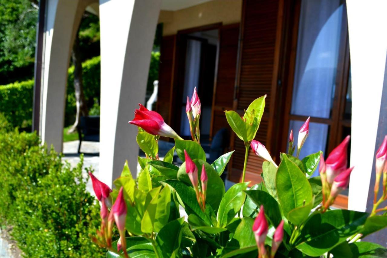 Le Grigne Guesthouse - The Garden Oliveto Lario Eksteriør bilde