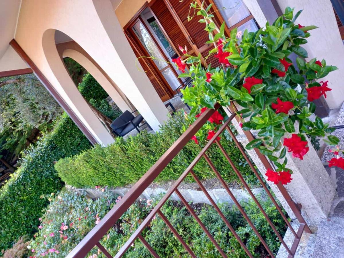 Le Grigne Guesthouse - The Garden Oliveto Lario Eksteriør bilde